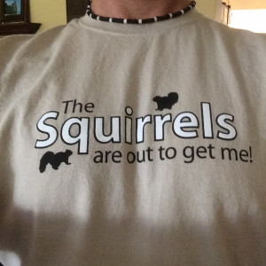 Animals, Squirrel, Wildlife, clothing, t-shirt