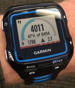 Garmin 920xt Daily Step Activity